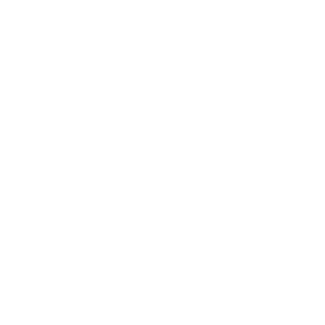 Heese Dachdeckerei aus Greifswald Logo weiß